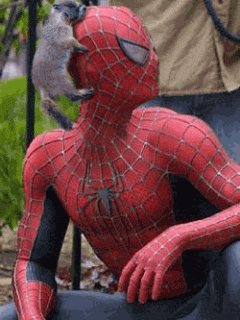 spiderman trouve son maitre.gif